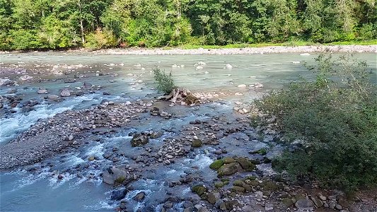 Sauk River at Clear Creek confluence, Mt. Baker-Snoqualmie National Forest. Video by Anne Vassar Sept. 13, 2021. photo