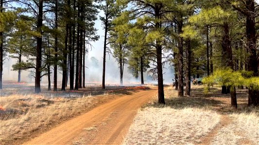 Horseshoe Prescribed Fire