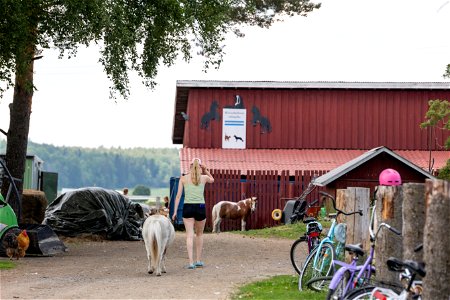 Kissankulman eläinpiha, Hämeenlinna photo