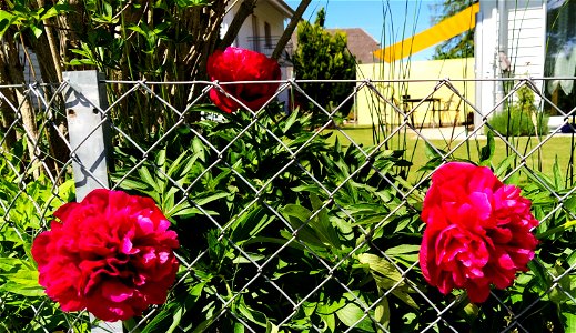 IMG_20220527_120249