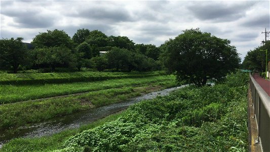 Nogawa River in Kitami, Setagaya-ku photo