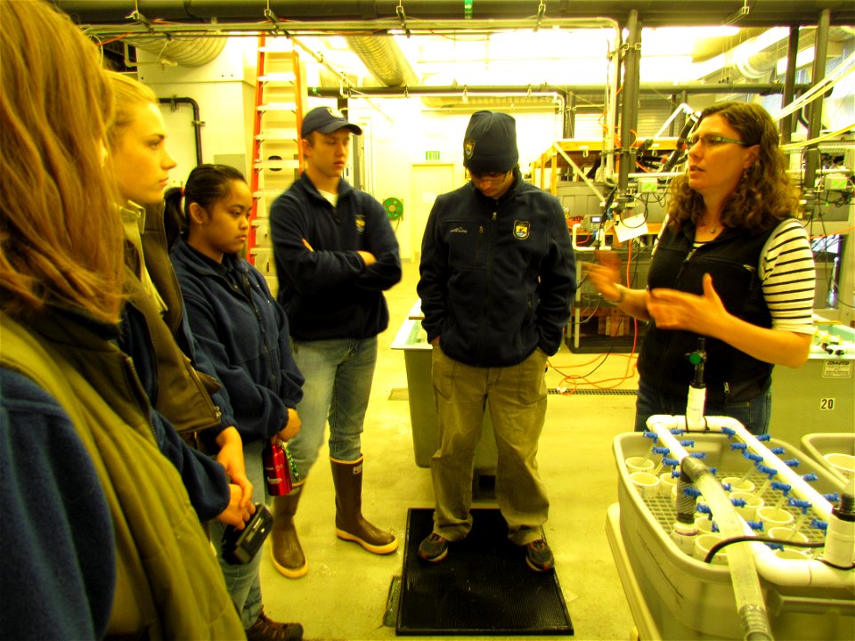 Ocean Acidification and King Crabs