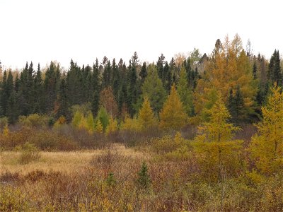 20221011-FS-Superior-SAR-002