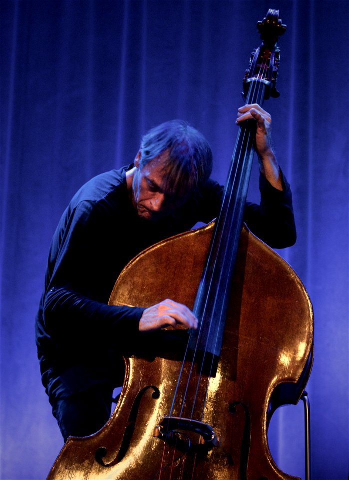 Rudresh Mahanthappa 'Bird Calls' Tivoli Vredenburg Utrecht, 5 november 2016 - Francois Moutin
