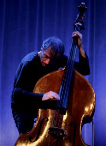 Rudresh Mahanthappa 'Bird Calls' Tivoli Vredenburg Utrecht, 5 november 2016 - Francois Moutin