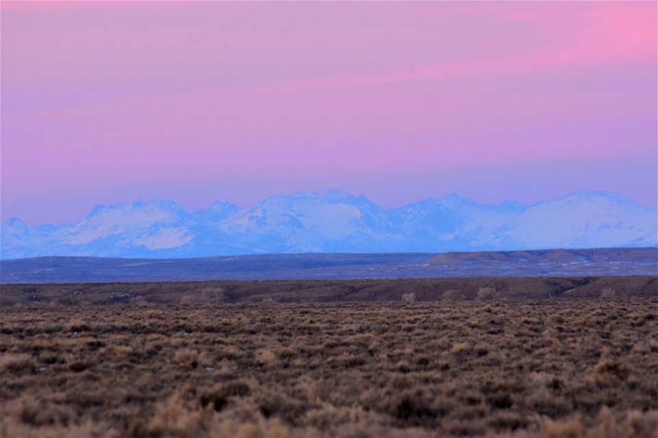 Scenic sage steppe at Seedskadee NWR