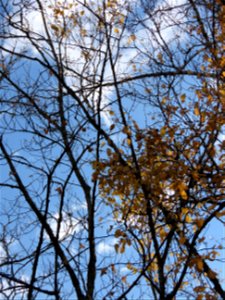 20221011-FS-Superior-SAR-026