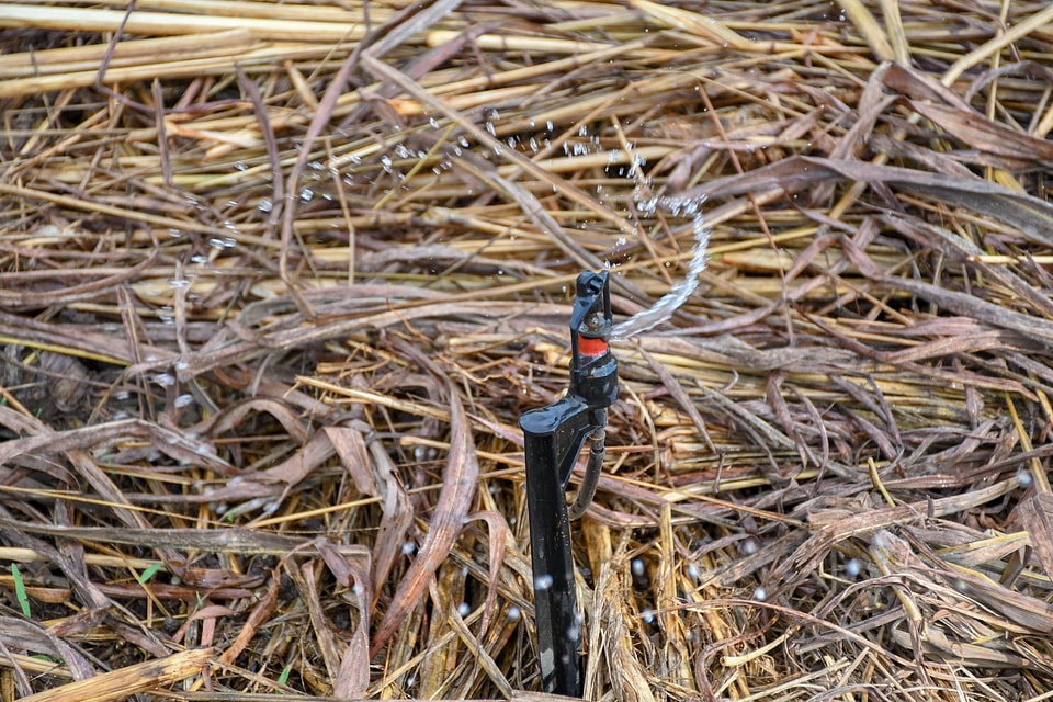 Watering device sprinkler straw