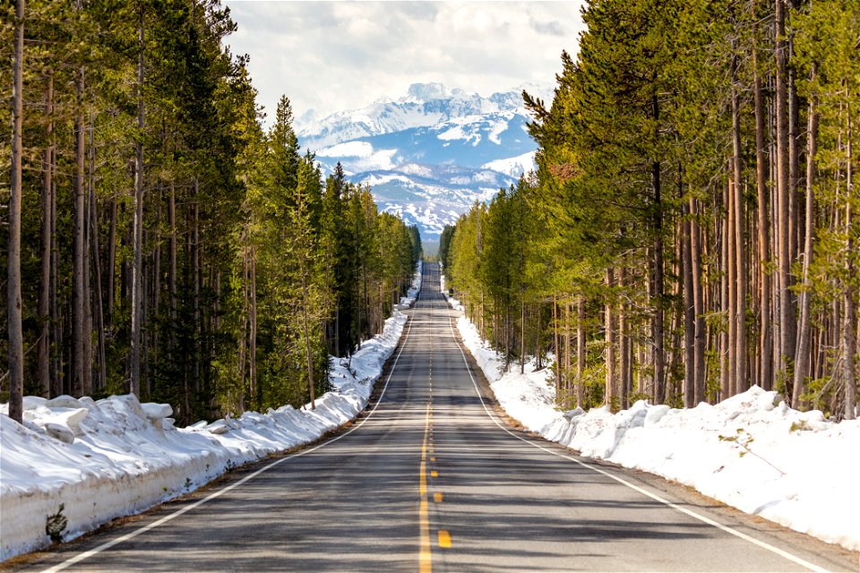 Spring views of the park road near the South Entrance