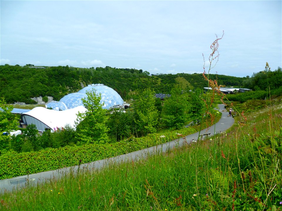 P1000429