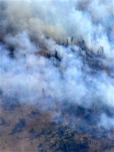 Aerial View CrocketsKnobFire USFSPicByJasonSullivan 220830 (6)