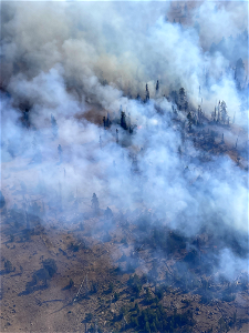 Aerial View CrocketsKnobFire USFSPicByJasonSullivan 220830 (6) photo