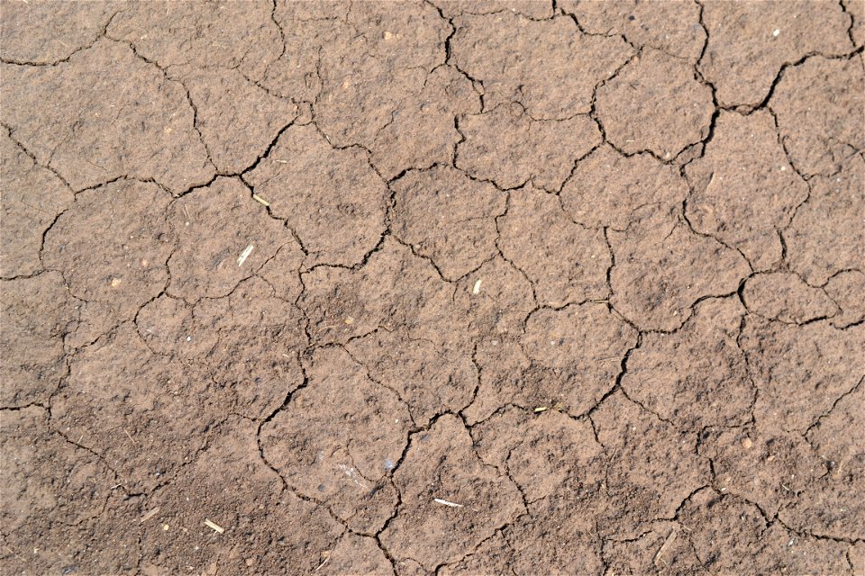 Free textures with cracks