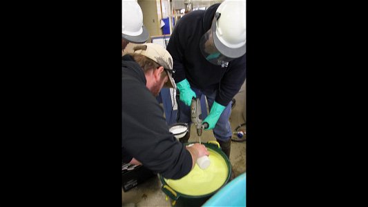 Immersive Marking for Walleye at Hatchery photo