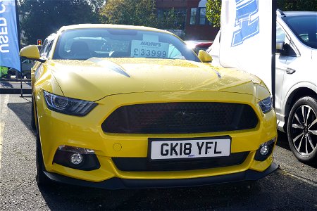 Yellow Pony