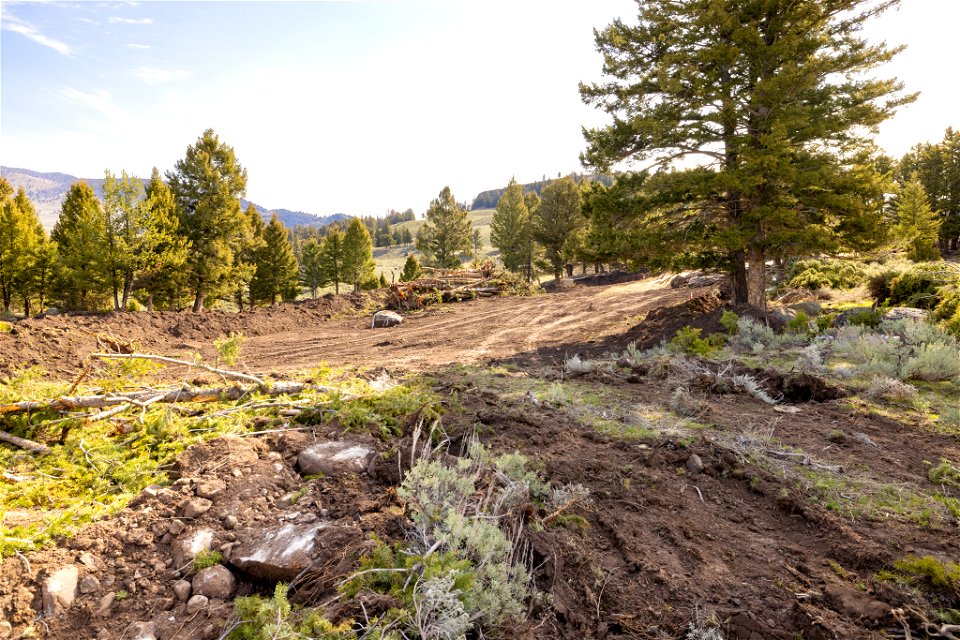 Yellowstone River Bridge replacement project: May 10, 2023 (13)