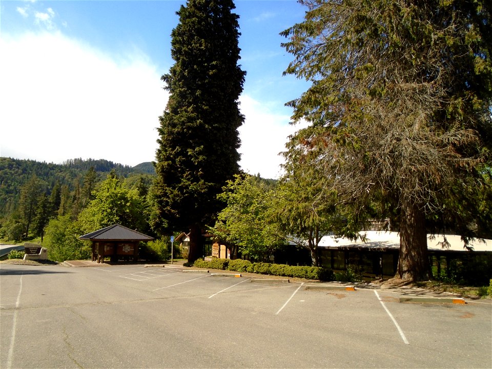 Tiller Ranger Station Parking Lot View 4