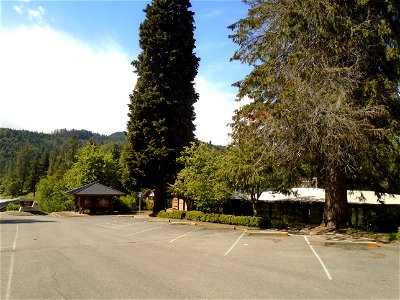Tiller Ranger Station Parking Lot View 4
