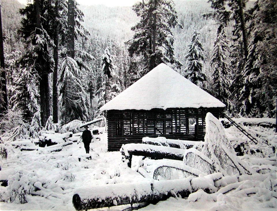 umpqua-nf---kuhns-1911-17jpg_49385791532_o