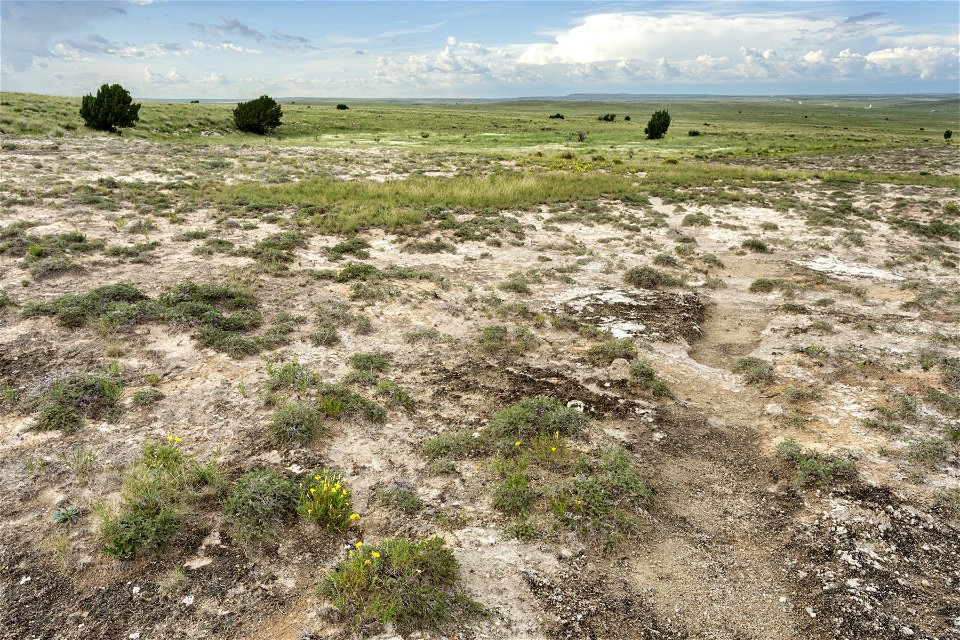 Near Cota del Gallo Arroyo