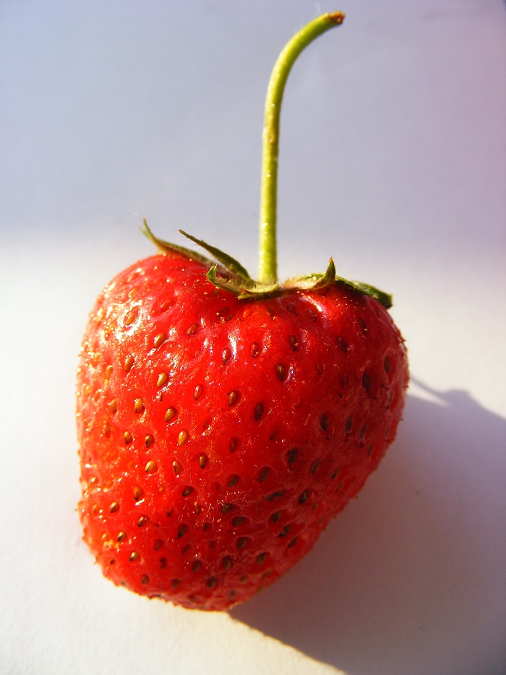 Healthy fresh natural