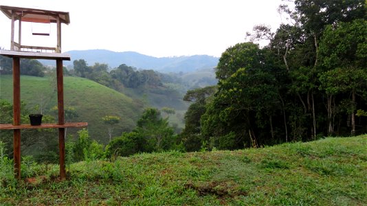 Yolombó