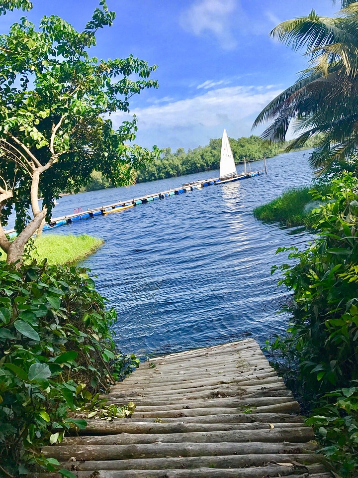 Water nature summer