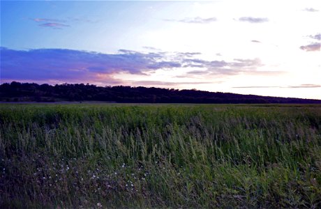 Prairie at dusk in Minnesota photo
