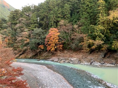 Nippara River and Tama River in Hikawa, Okutama-machi