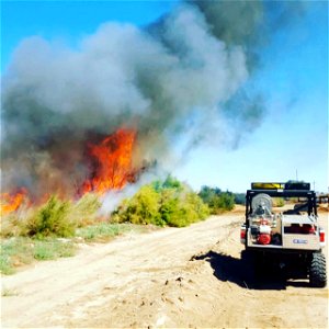 2021 USFWS Fire Employee Photo Contest Category: Fuels Management photo