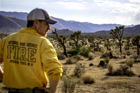 Wildland fire park ranger photo