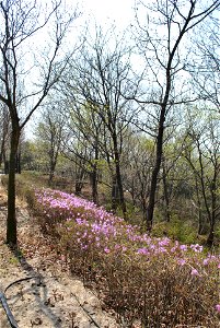 Younginsan Park Spring 2023
