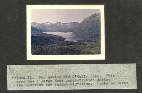 (1964) O'Malley Lake photo