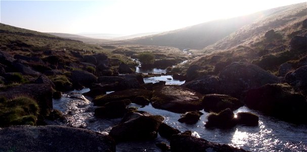 Dartmoor Ponies at Sunrise , Dartmoor National Park, Devon, UK
