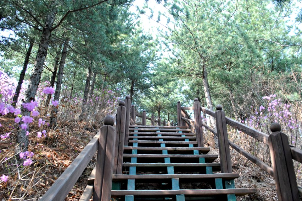 Younginsan Park Spring 2023