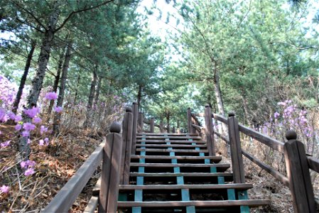 Younginsan Park Spring 2023