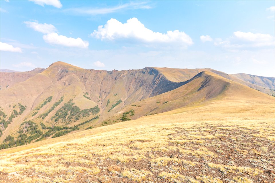 Shoshone National Forest, Sunlight Creek Trail: views along the trail to the east
