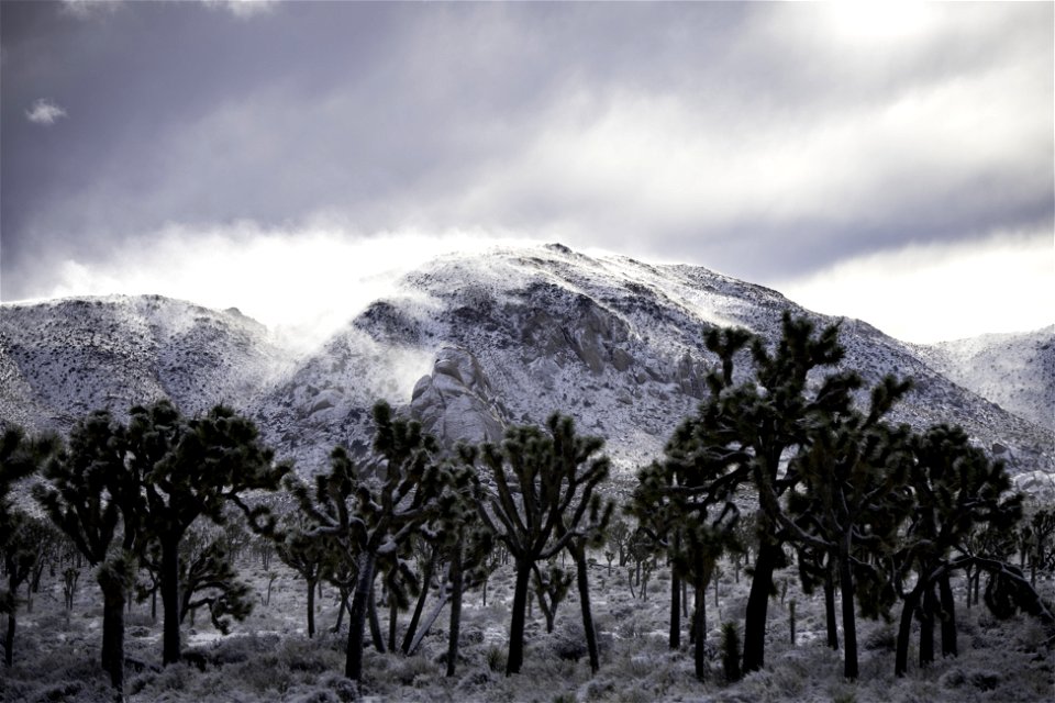 Snow drifts over Ryan Mountain