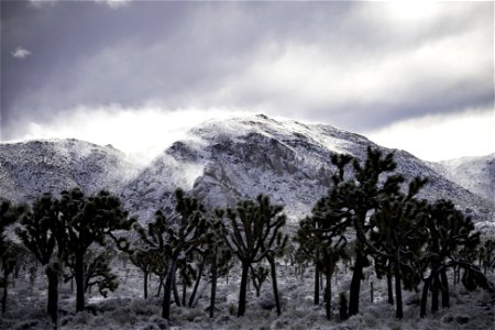 Snow drifts over Ryan Mountain photo