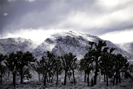 Snow drifts over Ryan Mountain