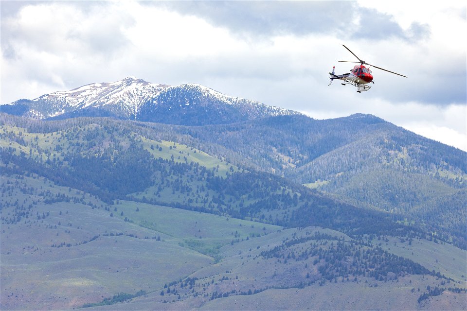 Hover (STEP) training: crew and ship in air