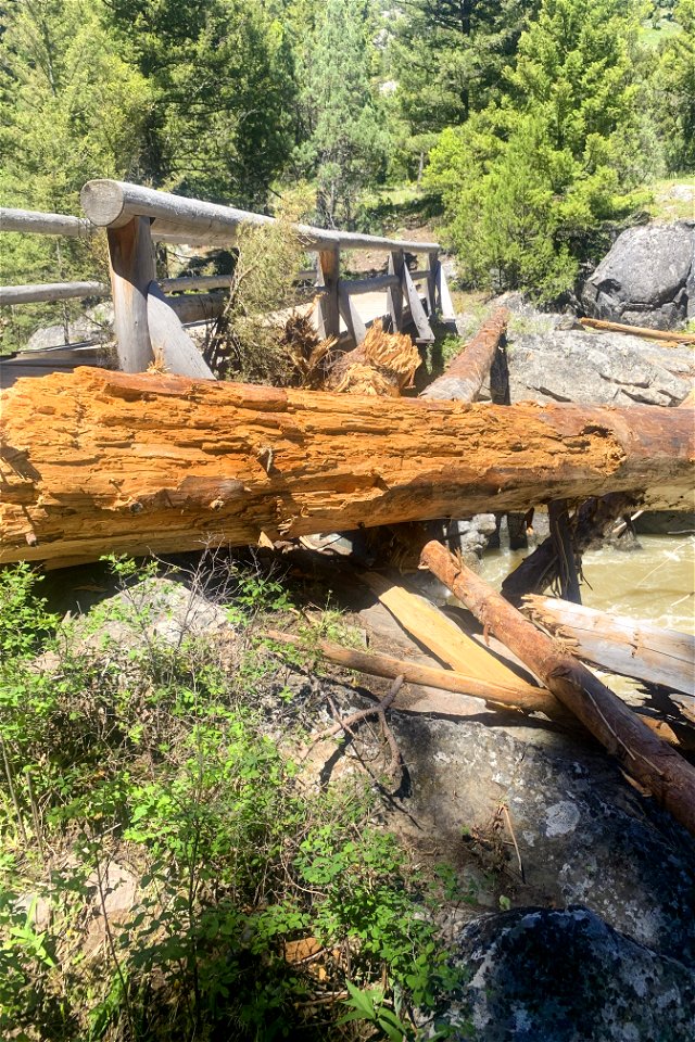 Yellowstone flood event 2022: Hellroaring Stock Bridge and