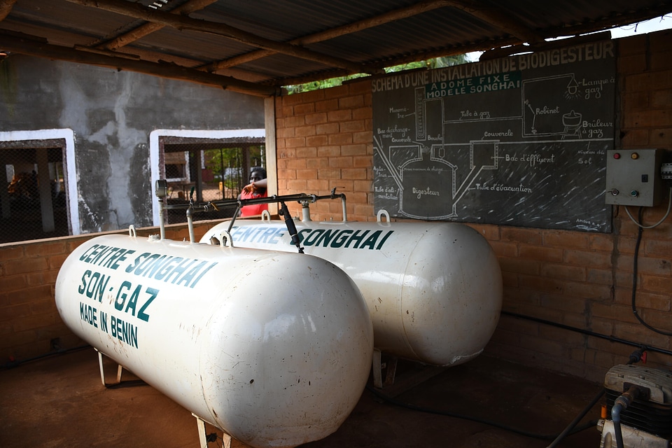 Container biogas industry