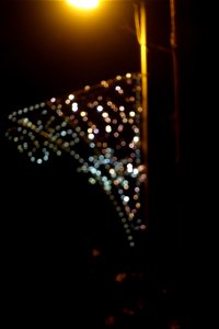 DSC08725