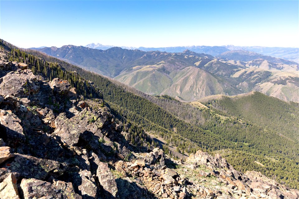 Custer-Gallatin National Forest, Emigrant Peak Trail: gaining the ridge