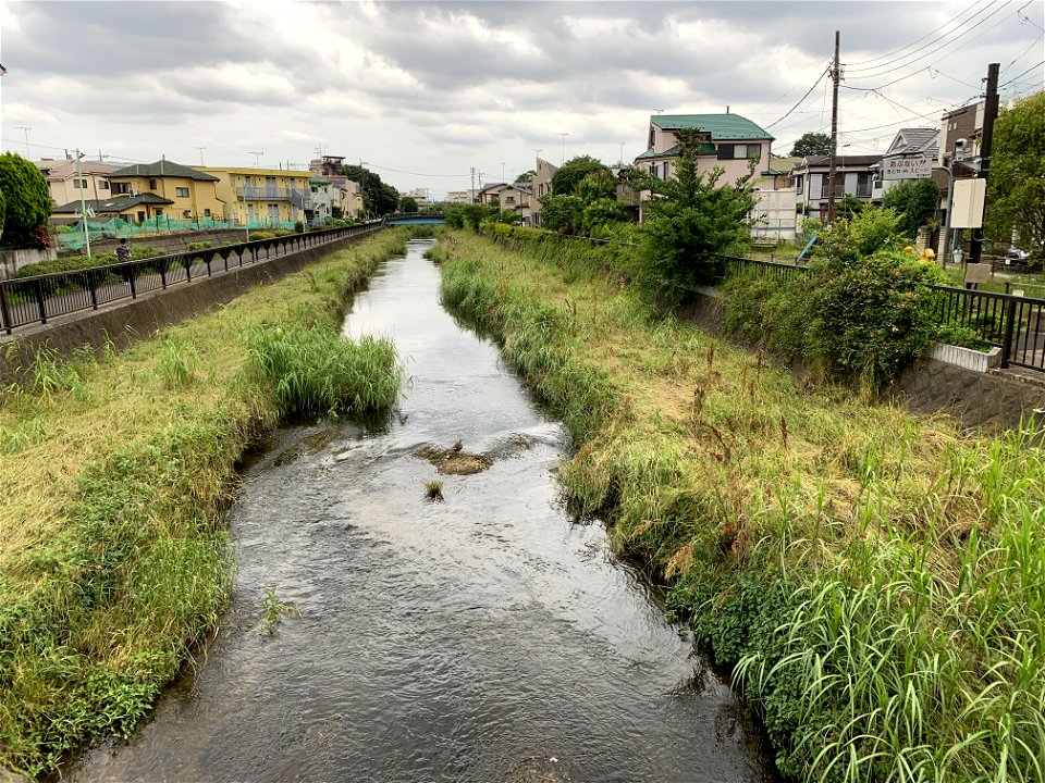 Kurome River in Koyama, Higashikurume-shi
