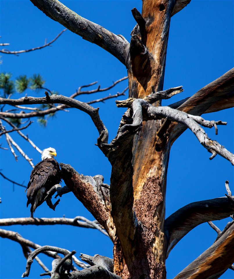 co upper co river-80