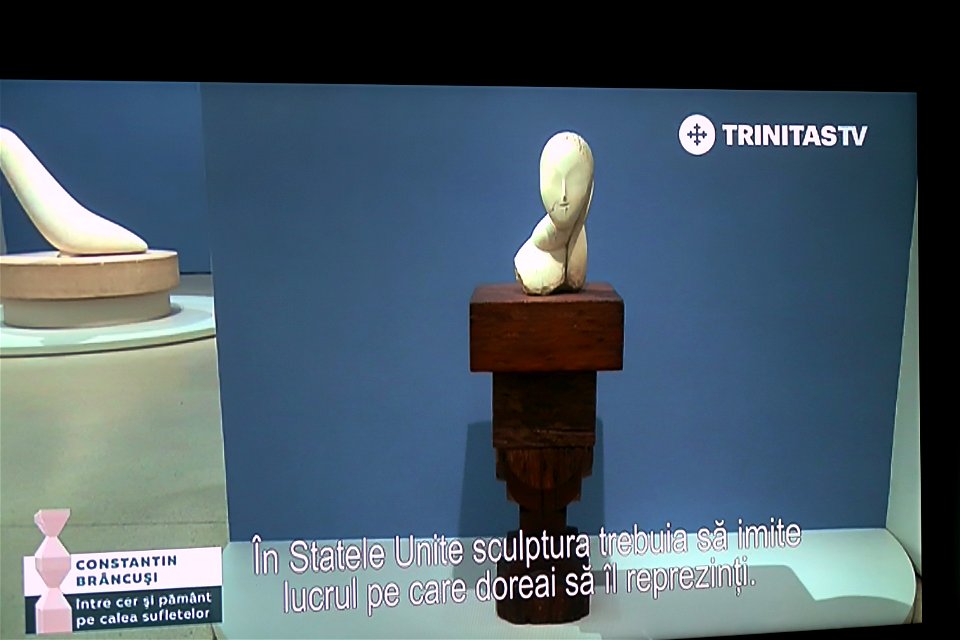 Brancusi_works2023_0218_184705 photo