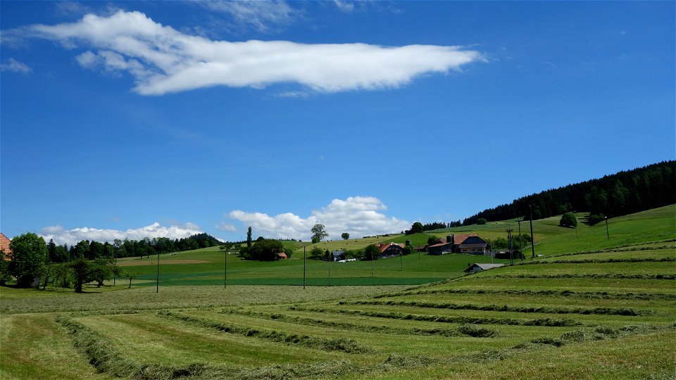 DSC09733