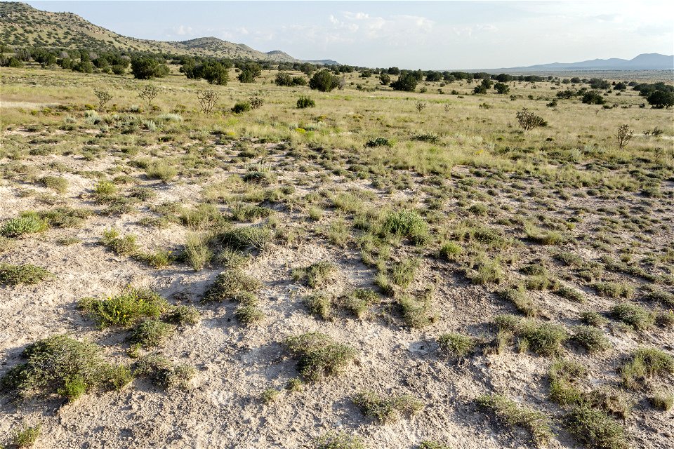 East of Mesa Redonda